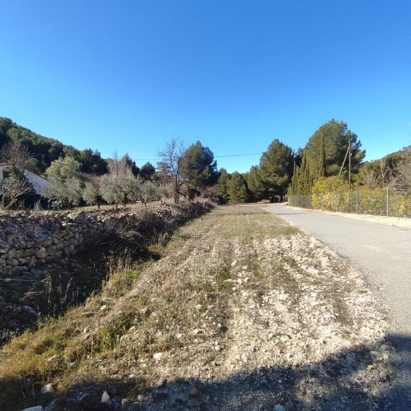 6 Cuarto Casa de Campo en venta 6 Cuarto Casa de Campo en venta