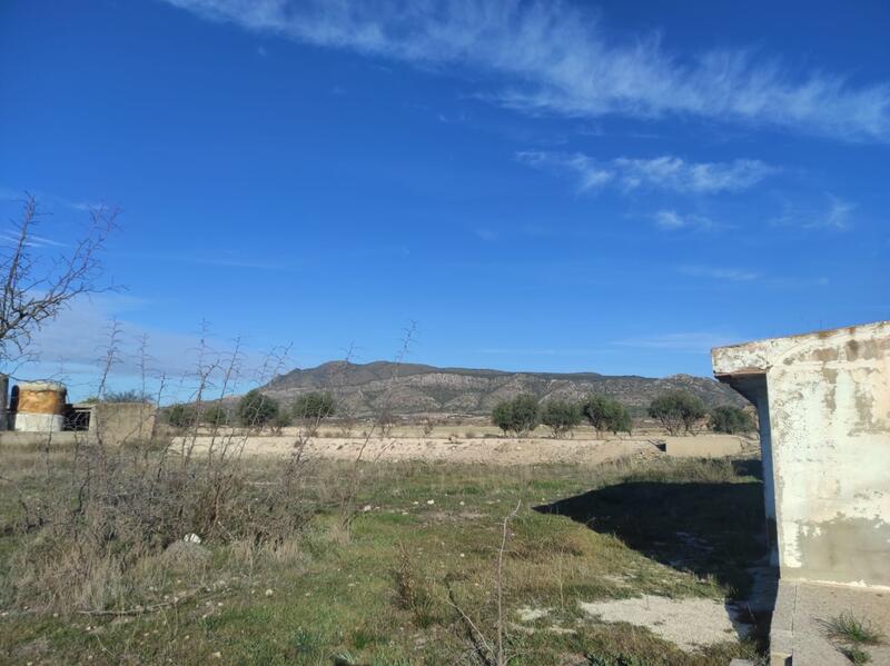 4 Cuarto Casa de Campo en venta