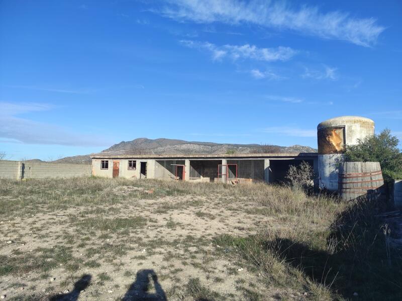 4 Cuarto Casa de Campo en venta