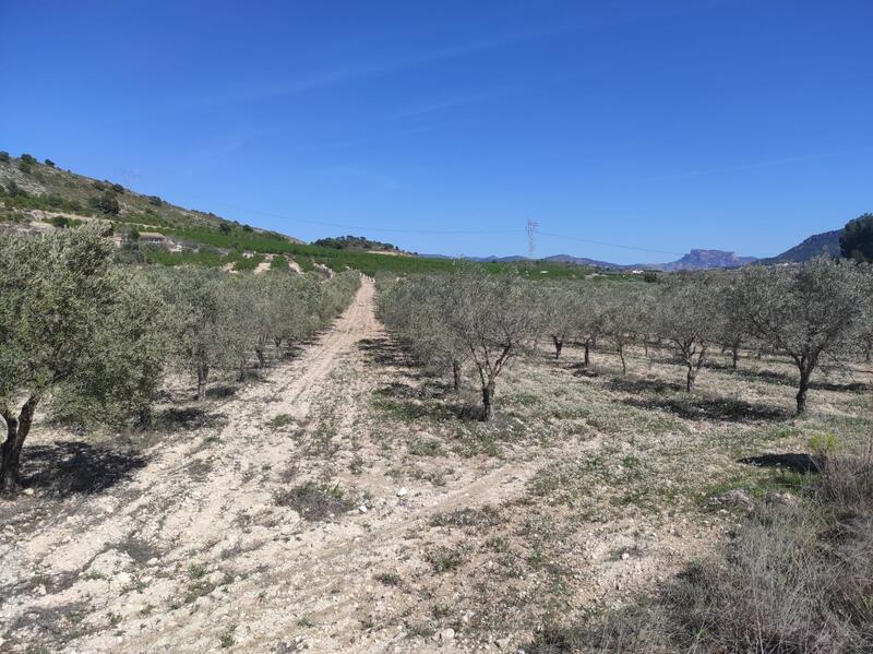 Landa till salu Landa till salu