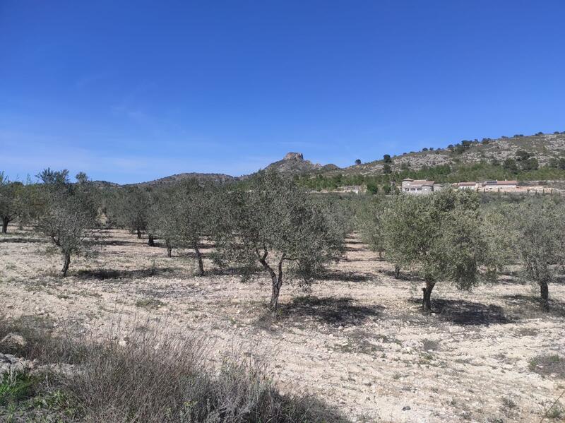 Landa till salu Landa till salu