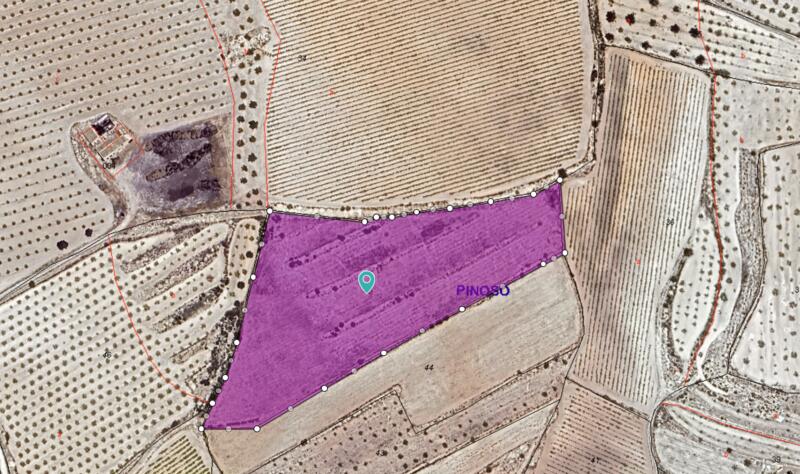 Land til salgs i Pinoso, Alicante