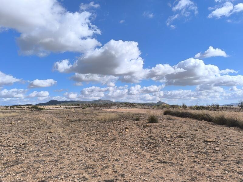 Land til salgs Land til salgs