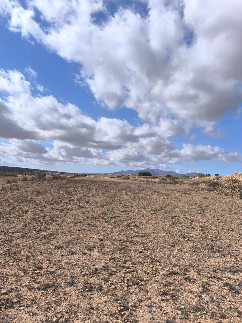 Land til salgs Land til salgs