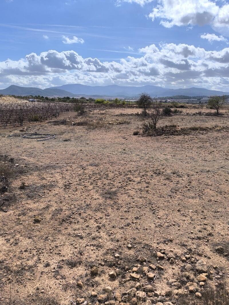 Land til salgs Land til salgs