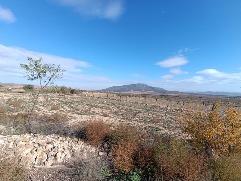 2 chambre Auberge à vendre