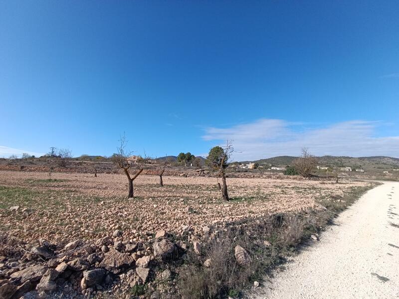 2 chambre Auberge à vendre