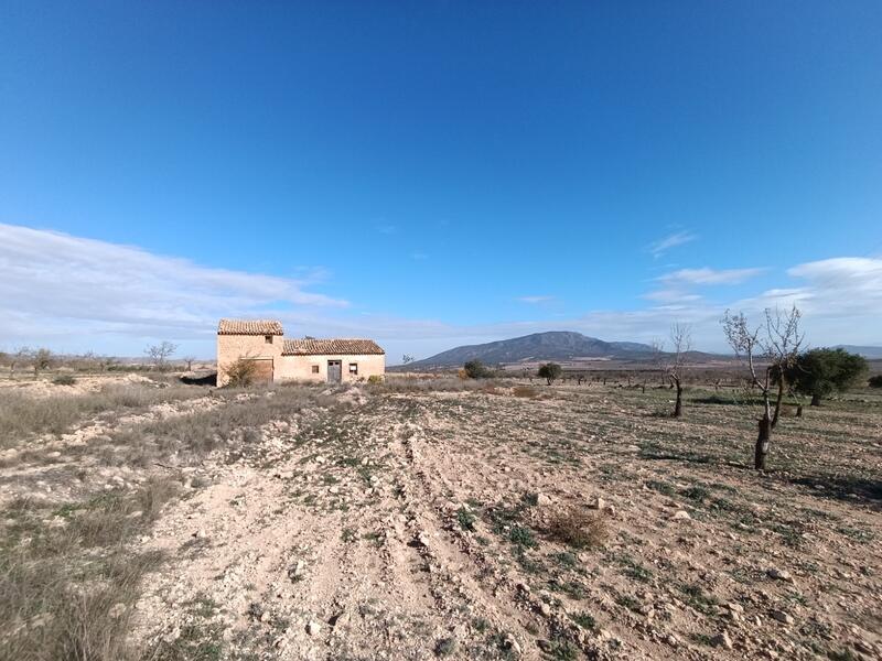 2 chambre Auberge à vendre