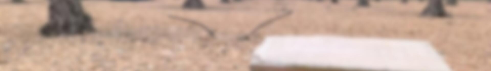 Grundstück zu verkaufen