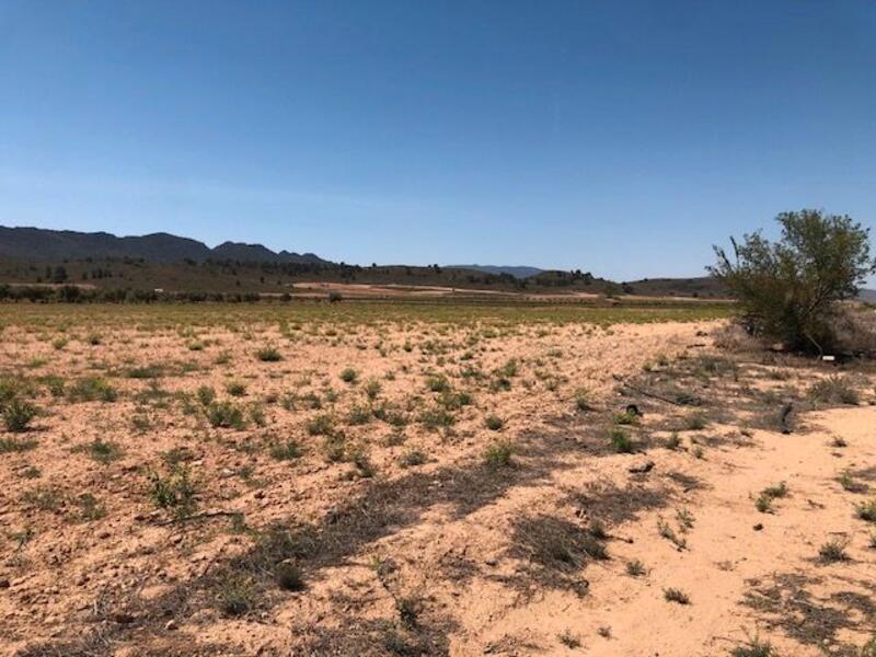 Land for sale