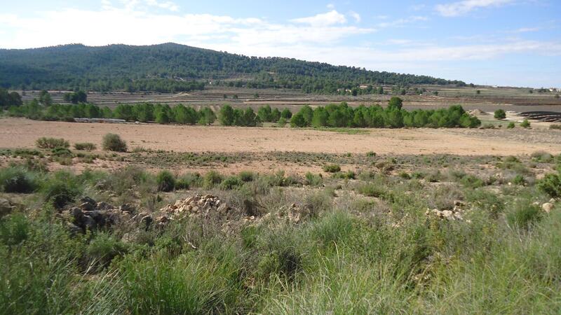Land for sale