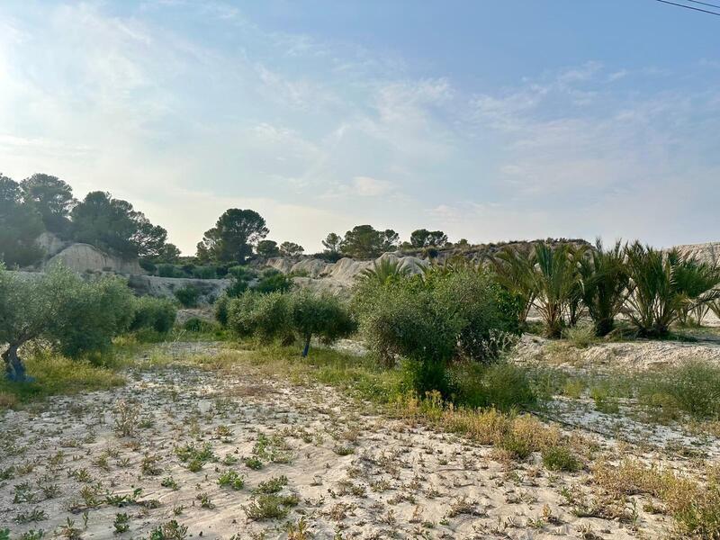 5 bedroom Country House for sale