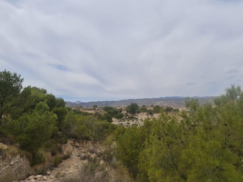 Country House for sale