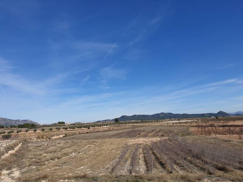 Land for sale in Pinoso, Alicante