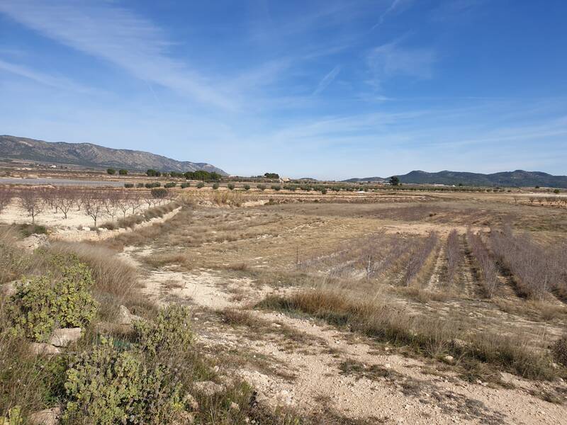 Terrain à vendre