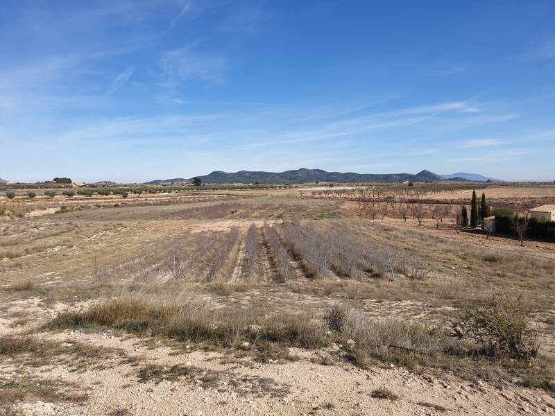 Terrenos en venta