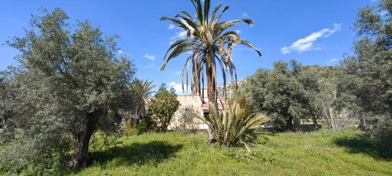 3 chambre Auberge à vendre