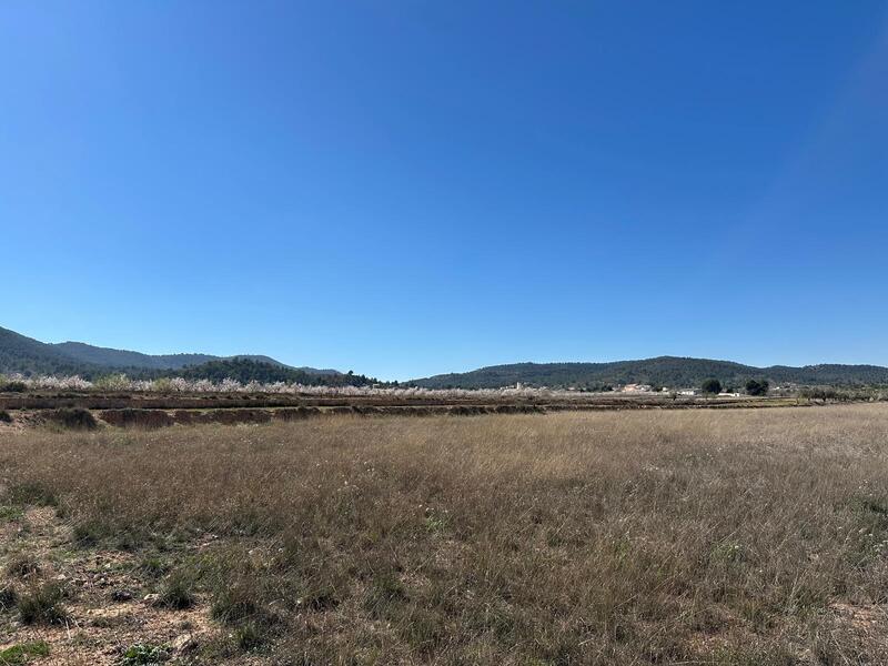 Land for sale Land for sale