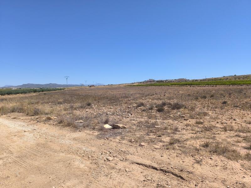 Land for sale Land for sale