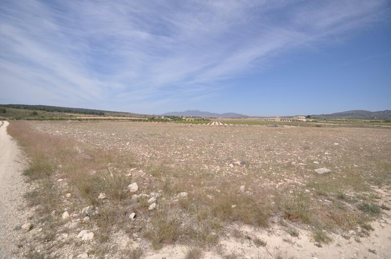 Land for sale Land for sale