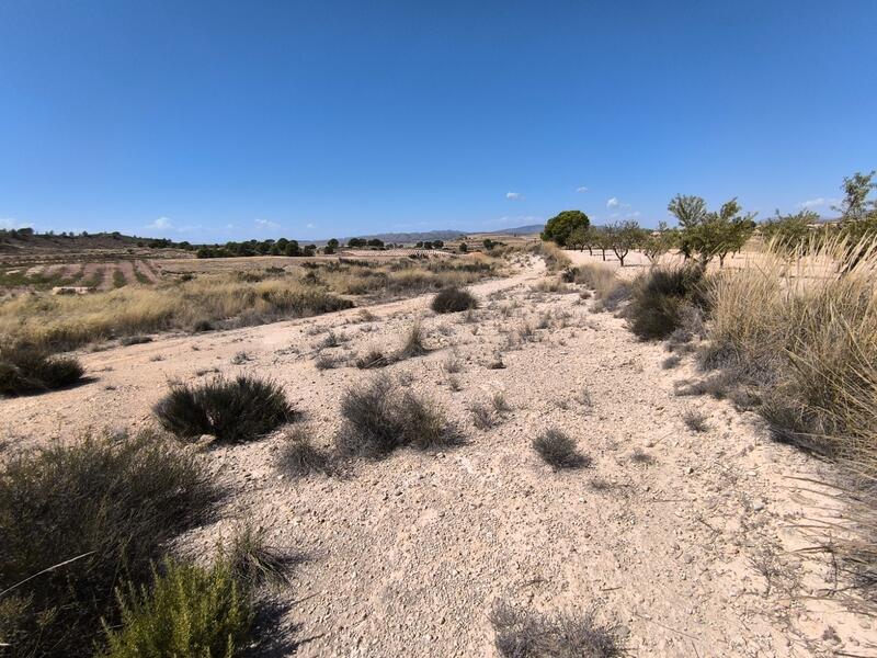 Land for sale