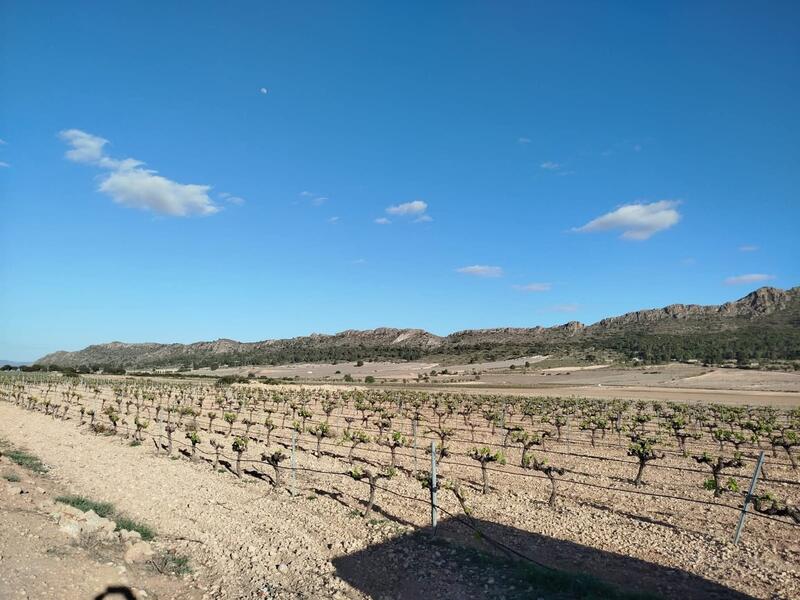 3 bedroom Country House for sale