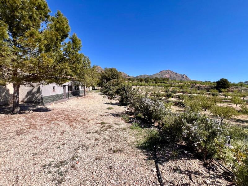 2 bedroom Cave House for sale 2 bedroom Cave House for sale