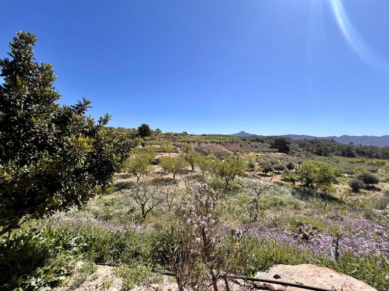 2 bedroom Cave House for sale 2 bedroom Cave House for sale