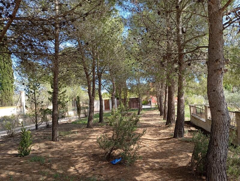 5 bedroom Villa for sale