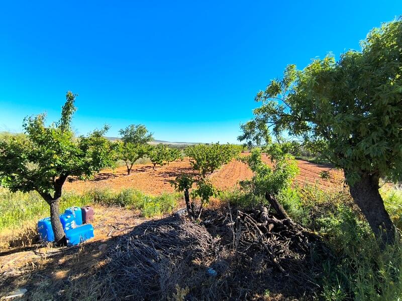 4 bedroom Country House for sale