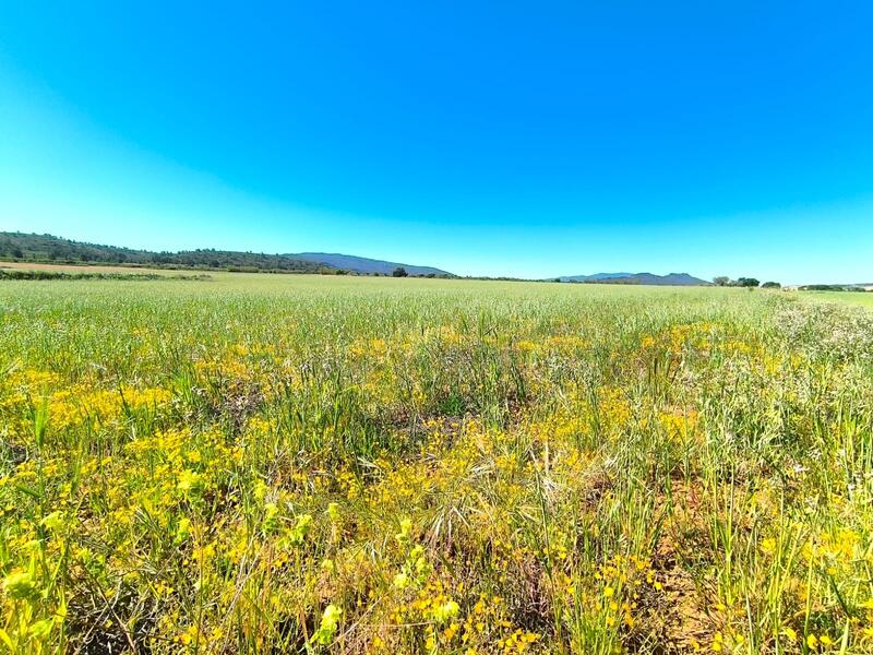 Land for sale