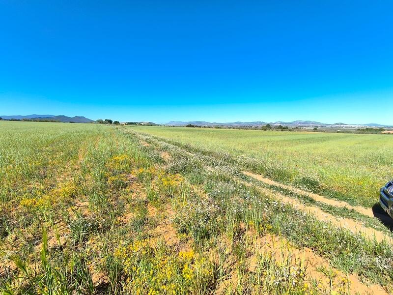 Land for sale