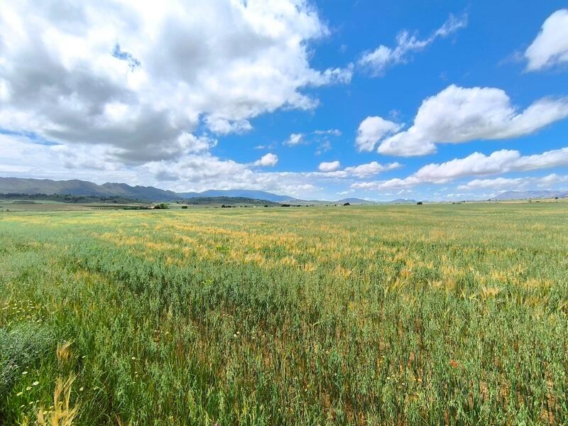 Terrenos en venta