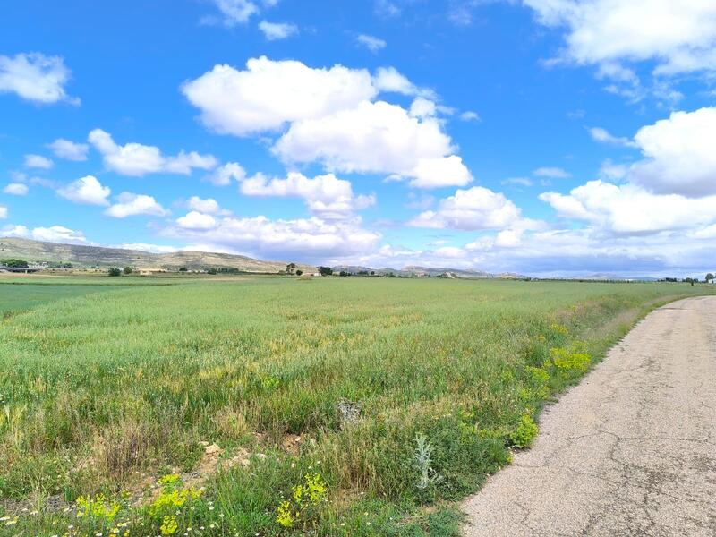Terrenos en venta
