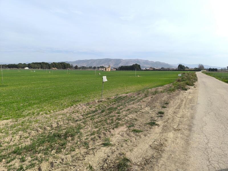 Land til salgs i Villena, Alicante Land til salgs i Villena, Alicante