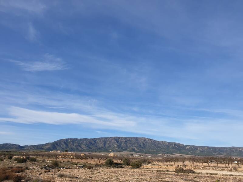 Landa till salu i Pinoso, Alicante