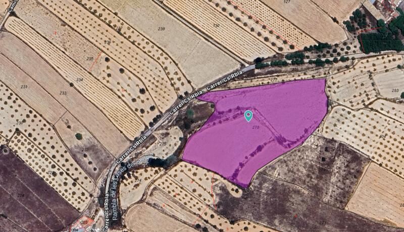 Land for sale in Casas del Señor, Alicante