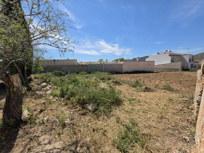Land for sale