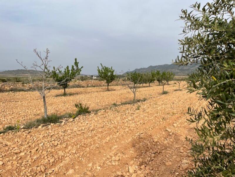 Land for sale Land for sale