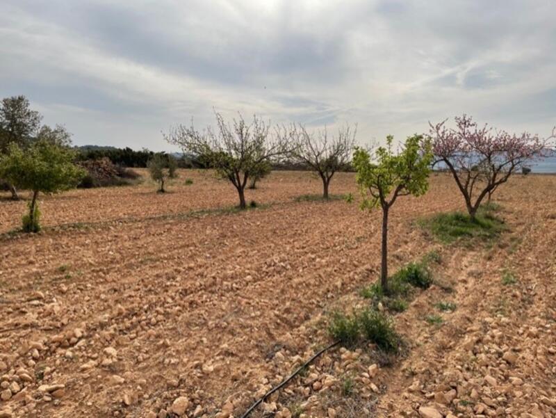 Land for sale Land for sale