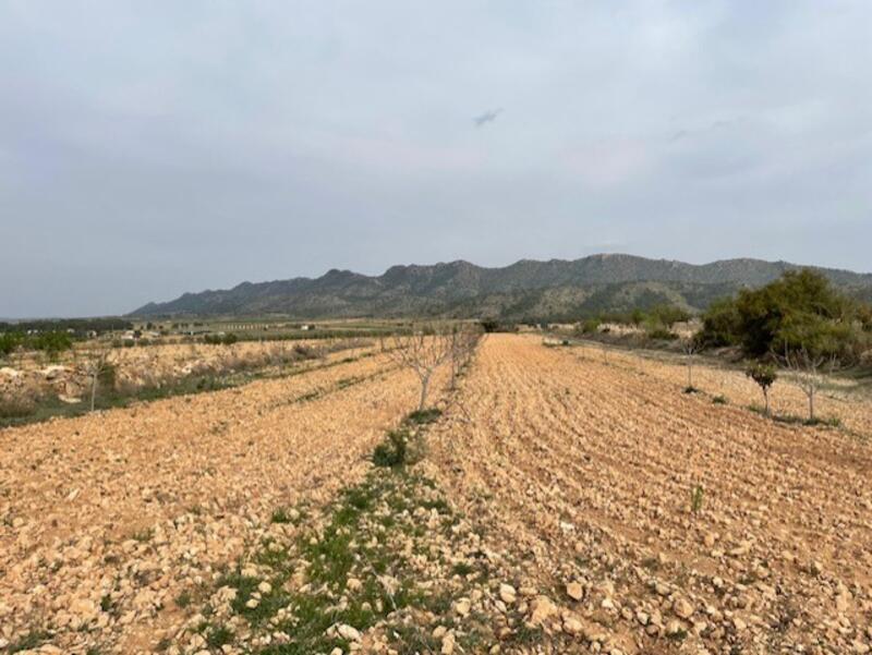 Land for sale Land for sale