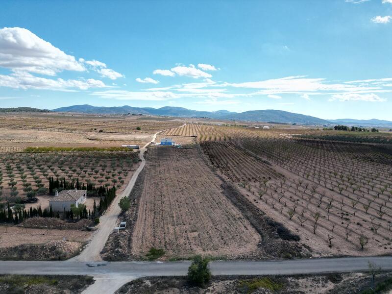 Land for sale in Pinoso, Alicante