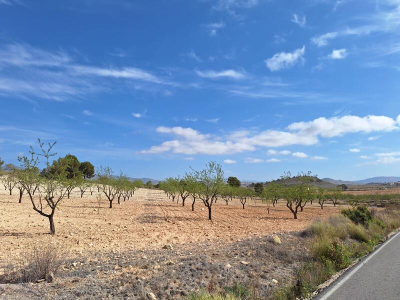 Land for sale