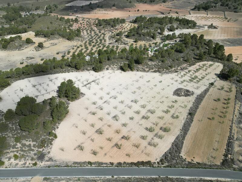 Land for sale