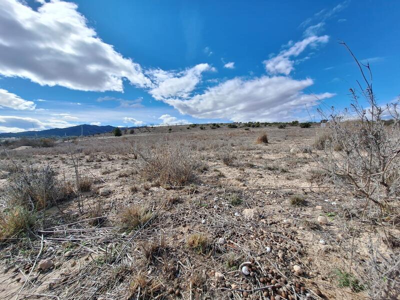 Land for sale