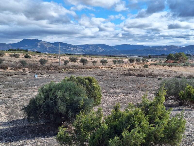 Land for sale