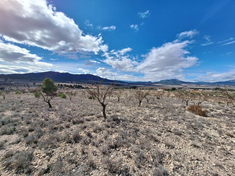 Land for sale