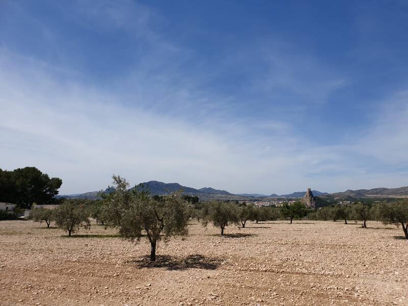 Land for sale in Sax, Alicante