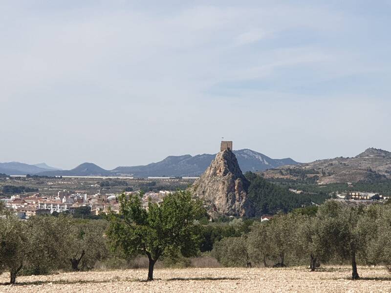 Terrenos en venta