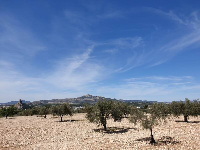 Terrain à vendre